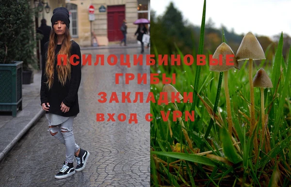 тгк Бородино
