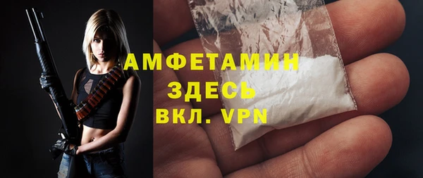 тгк Бородино