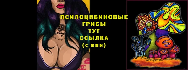 ПСИЛОЦИБИНОВЫЕ ГРИБЫ Бронницы