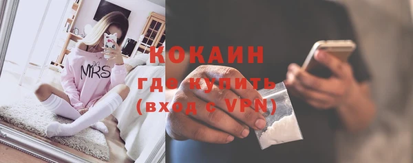тгк Бородино