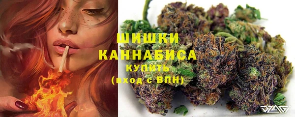 тгк Бородино