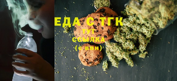 тгк Бородино