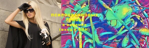 тгк Бородино