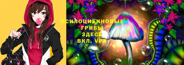 тгк Бородино