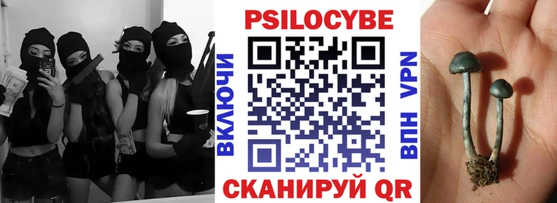 Галлюциногенные грибы мухоморы Армавир