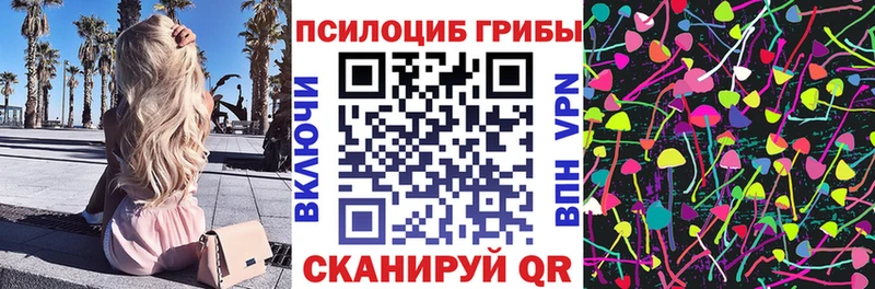 Псилоцибиновые грибы Psilocybine cubensis  ОМГ ОМГ ссылка  Армавир 